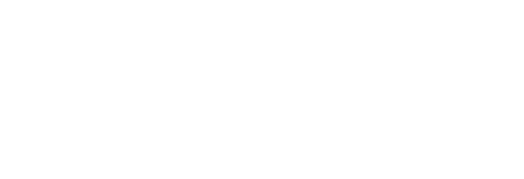 VMI logo reversed